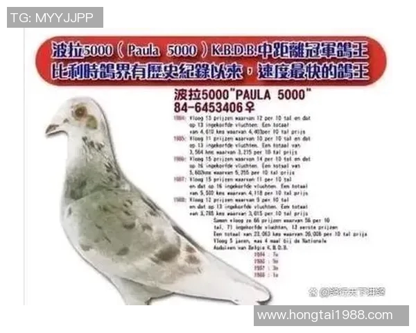 巴字开头的足球明星盘点他们的辉煌成就与传奇故事