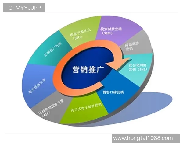 体育产品生命周期的演变与市场策略分析探讨