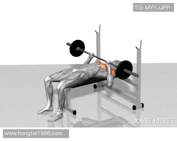 全面解析哑铃练肩的有效动作图解与技巧分享